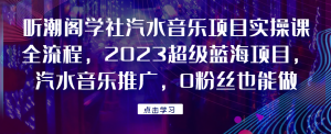 听潮阁学社汽水音乐项目实操课全流程，2023超级蓝海项目，汽水音乐推广，0粉丝也能做！九妖灵瞳—专注系统源码 网站系统搭建九妖灵瞳—专注系统源码 网站系统搭建